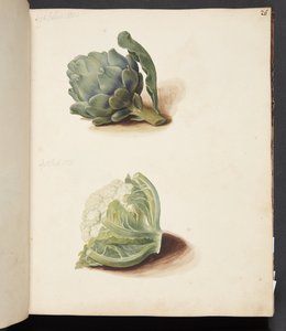 Étude d