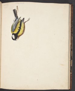 Étude d