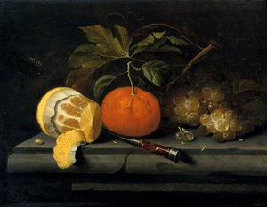Fruits sur une table en pierre - Johannes Borman