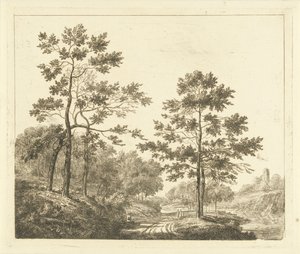 Sentier forestier dans un paysage vallonné - Johannes Franciscus Christ