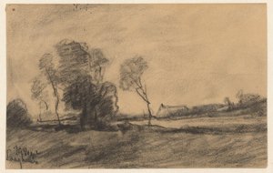 Arbres au bord de l