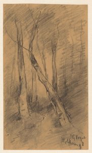 Paysage forestier près de Wolfheze - Johannes Gijsbert Vogel