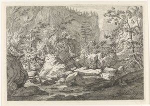 Ravin avec rochers et arbres (Paysages dans le massif de la Chartreuse) - Johannes Glauber