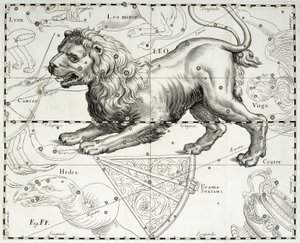 Lion, constellation zodiacale du Lion, illustration tirée de l