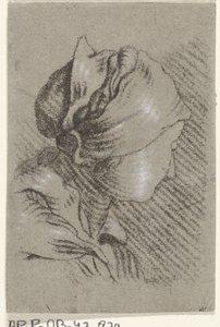 Buste de femme