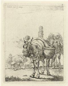 Deux mules chargées