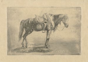 Cheval sellé vers la droite - Johannes Mock
