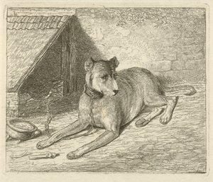 Chien enchaîné près d