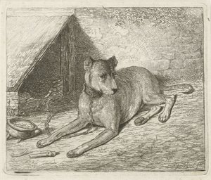 Chien enchaîné près d