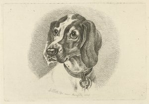 Tête de chien avec un collier avec anneau - Johannes Mock