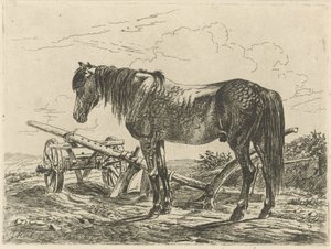 Cheval près d