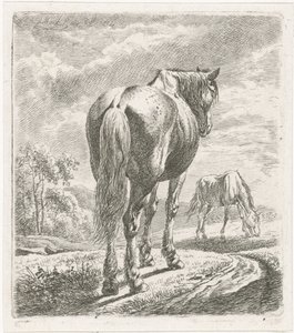 Cheval vu de dos - Johannes Mock