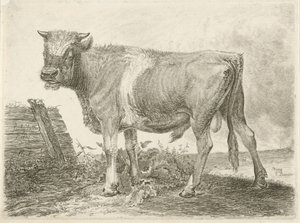 Taureau - Johannes Mock