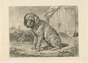 Chien assis près d