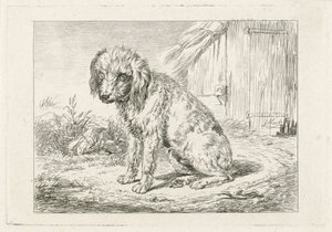 Chien assis près d