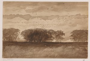 Colonie de corbeaux en Brabant-Septentrional - Johannes Tavenraat (signed by artist)