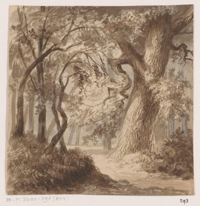 Paysage forestier - Johannes Tavenraat