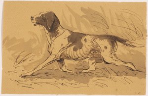 Chien de chasse - Johannes Tavenraat