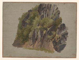 Rochers et végétation - Johannes Tavenraat