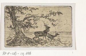 Deux cerfs sous un arbre - Johannes Tavenraat
