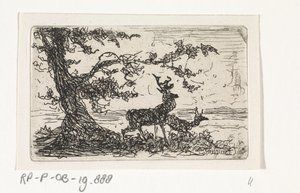 Deux cerfs sous un arbre - Johannes Tavenraat
