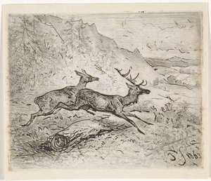 Deux cerfs en marche