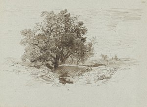 Groupe de chênes à Wolfheze - Johannes Warnardus Bilders