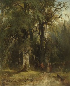 Vue dans les bois