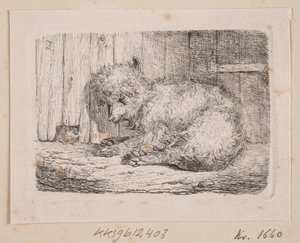 Un chien à poil long - Johannes Wilhelm Zillen