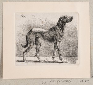 Un chien debout - Johannes Wilhelm Zillen