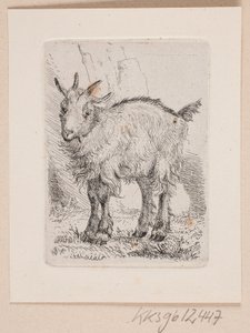 Un chevreau - Johannes Wilhelm Zillen