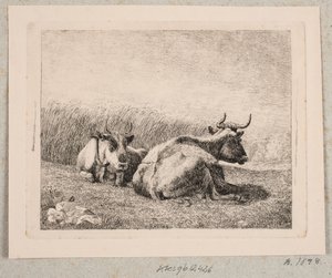 Deux Vaches au Repos - Johannes Wilhelm Zillen