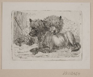 Deux chiens couchés - Johannes Wilhelm Zillen