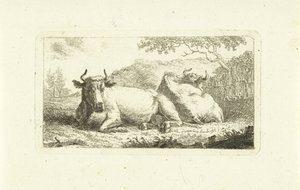 Deux vaches couchées - Johannes van Cuylenburgh