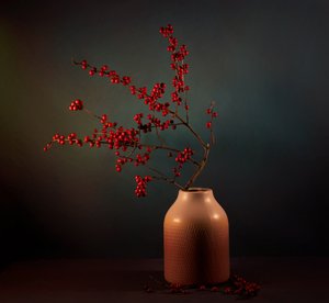 Présentation des baies d