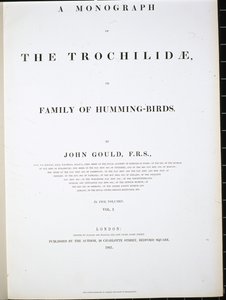 Frontispice - John (after) Gould