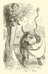 Taureau et garçon - John (after) Leech