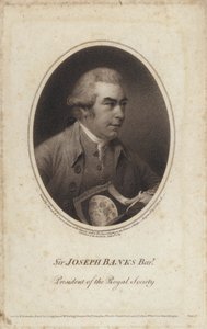Sir Joseph Banks, naturaliste, botaniste et président de la Royal Society (gravure) - John (after) Russell