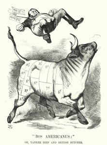 Caricature de Punch : Bos Americanus ; ou, Bœuf Yankee et Boucher Britannique - avantages attendus pour les consommateurs de l