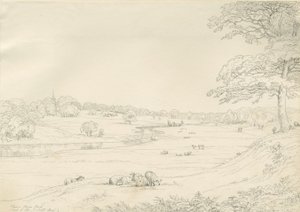 Parc de Great Barr - John Allport