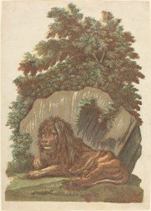 Le Lion - John Baptist Jackson