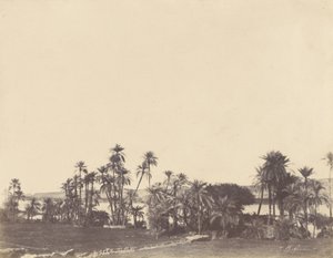 [Bords du Nil, Kalabsché] - John Beasley Greene