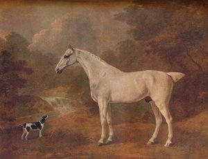 Un gris piqué de puces et un terrier tacheté, 1803