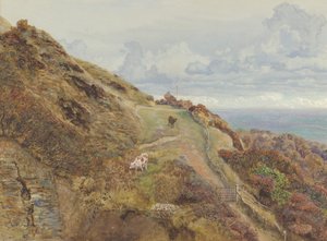 Bonchurch Downs, 1865 - John Brett