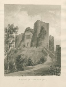 Château de Tamworth - John Buckler