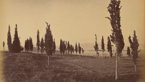 Vue aérienne de Jellalabad, depuis les sources - John Burke