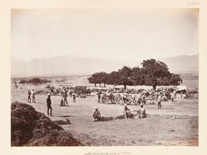 Camp de Safed Sang - John Burke