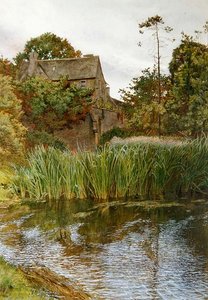 Un jardin d