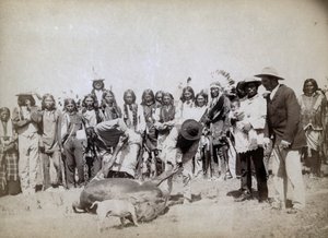 Écorchage de bœuf, 1891