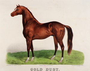 Poussière d